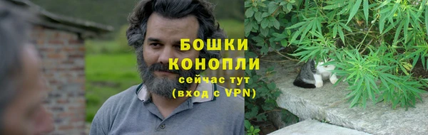 сатива Козельск