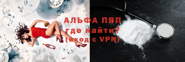 сатива Козельск