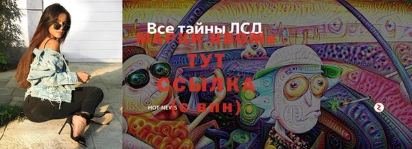 сатива Козельск