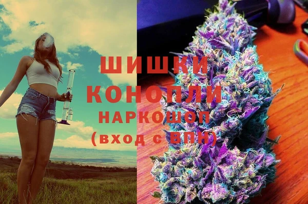 сатива Козельск