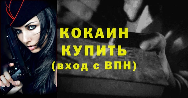 сатива Козельск
