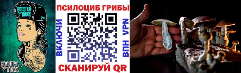 Галлюциногенные грибы мицелий Сенгилей