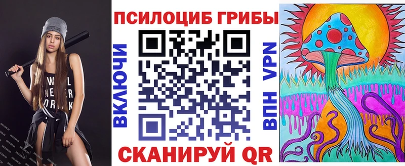 Купить где  Сенгилей  Псилоцибиновые грибы MAGIC MUSHROOMS 